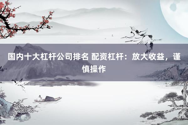 国内十大杠杆公司排名 配资杠杆：放大收益，谨慎操作