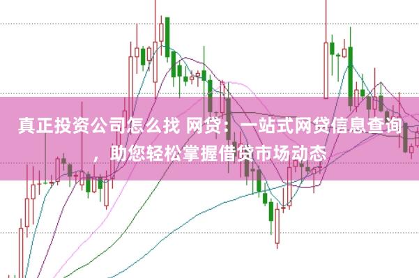 真正投资公司怎么找 网贷：一站式网贷信息查询，助您轻松掌握借贷市场动态