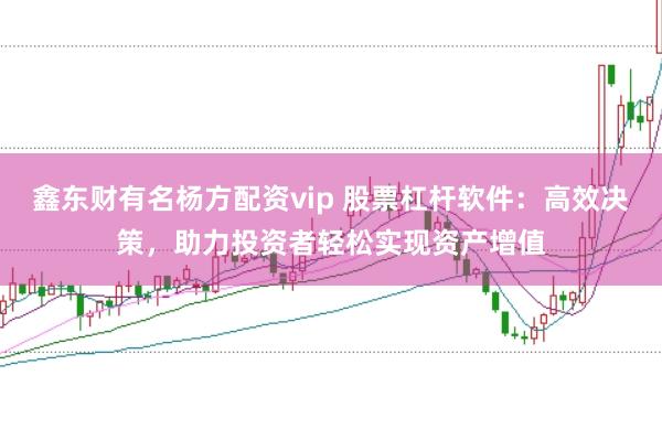 鑫东财有名杨方配资vip 股票杠杆软件：高效决策，助力投资者轻松实现资产增值