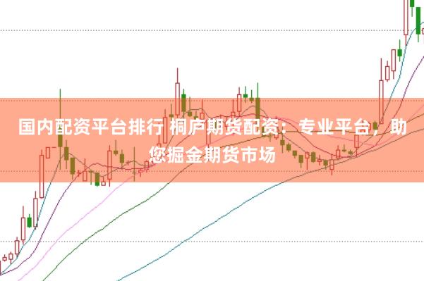 国内配资平台排行 桐庐期货配资：专业平台，助您掘金期货市场