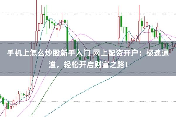 手机上怎么炒股新手入门 网上配资开户：极速通道，轻松开启财富之路！