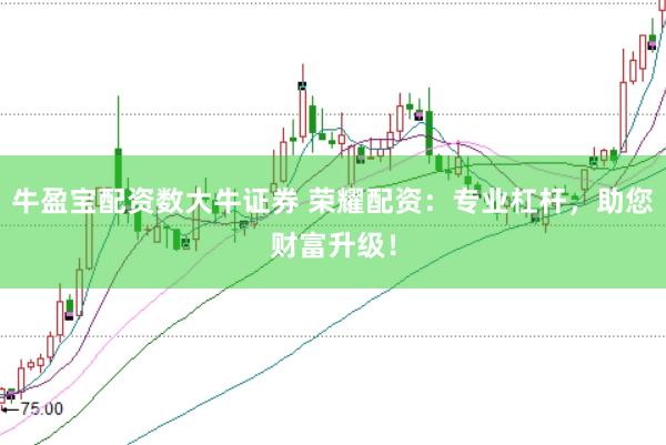 牛盈宝配资数大牛证券 荣耀配资：专业杠杆，助您财富升级！