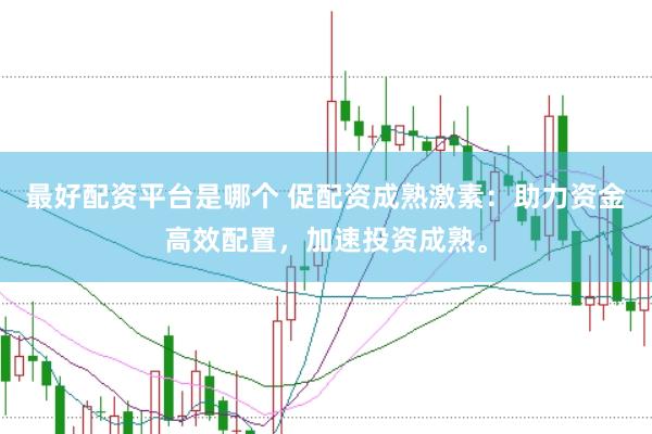 最好配资平台是哪个 促配资成熟激素：助力资金高效配置，加速投资成熟。