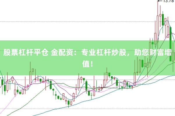 股票杠杆平仓 金配资：专业杠杆炒股，助您财富增值！