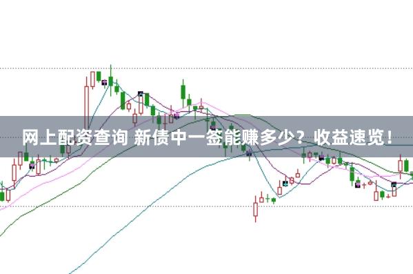 网上配资查询 新债中一签能赚多少？收益速览！