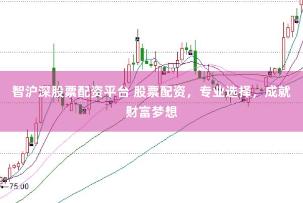 智沪深股票配资平台 股票配资，专业选择，成就财富梦想