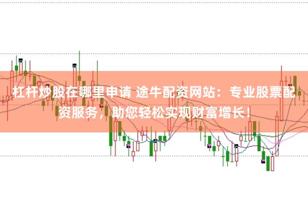 杠杆炒股在哪里申请 途牛配资网站：专业股票配资服务，助您轻松实现财富增长！