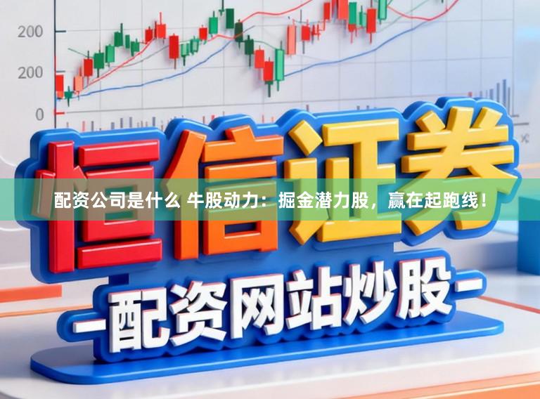 配资公司是什么 牛股动力:掘金潜力股,赢在起跑线!