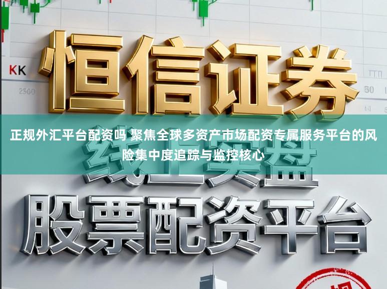 正规外汇平台配资吗 聚焦全球多资产市场配资专属服务平台的风险集中度追踪与监控核心