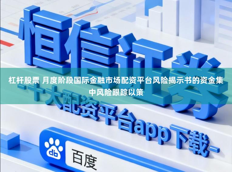 杠杆股票 月度阶段国际金融市场配资平台风险揭示书的资金集中风险跟踪以策