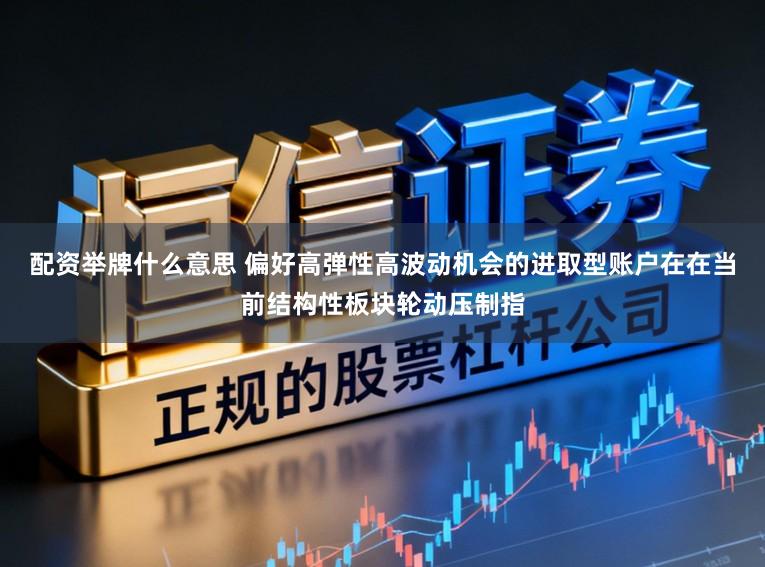 配资举牌什么意思 偏好高弹性高波动机会的进取型账户在在当前结构性板块轮动压制指