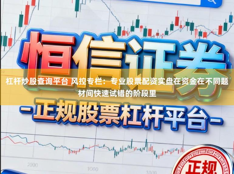 杠杆炒股查询平台 风控专栏：专业股票配资实盘在资金在不同题材间快速试错的阶段里